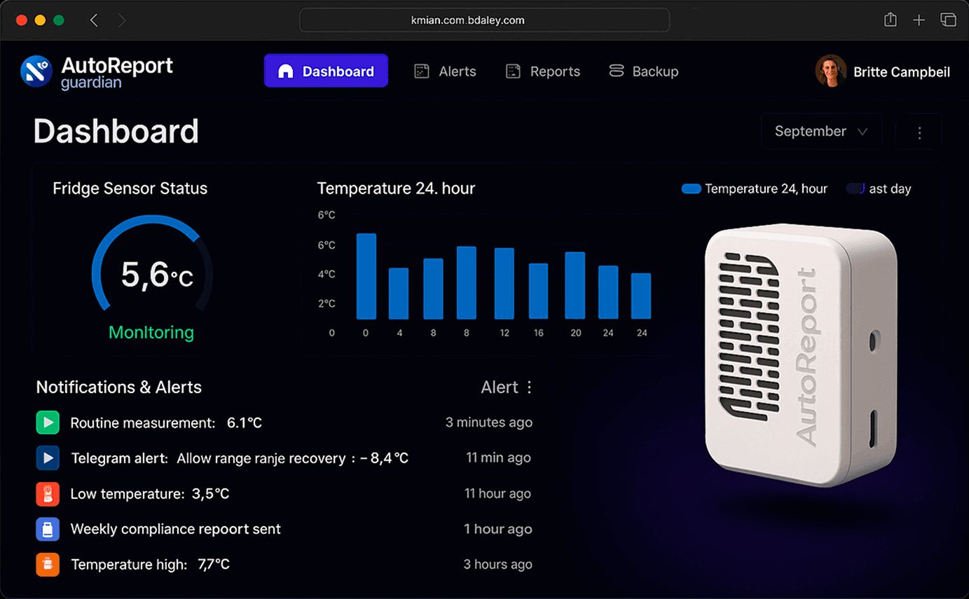 Bot Interface